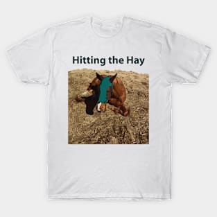 Hitting the Hay - Funny Horse T-Shirt